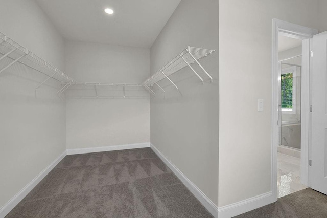 walk in closet featuring carpet floors