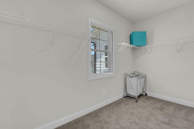 spacious closet with light carpet