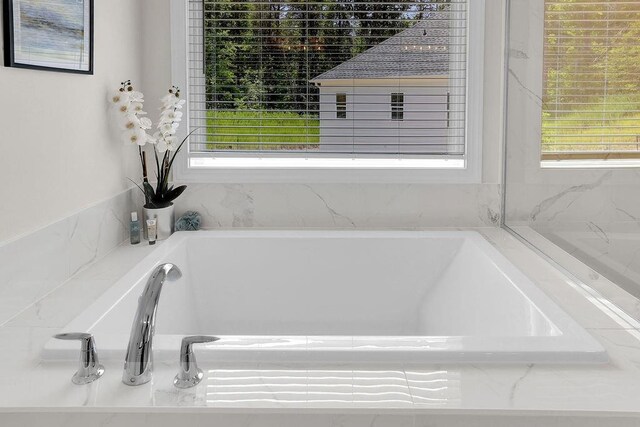 bathroom with a wealth of natural light and a bathing tub