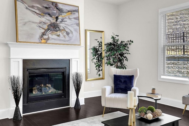 sitting room featuring dark hardwood / wood-style floors