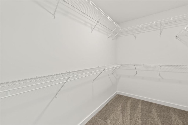 walk in closet featuring dark carpet