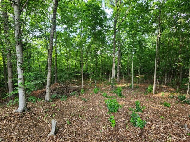 56 Creekside Pt, Hiram, GA 30141