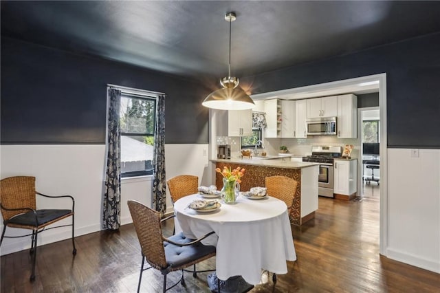 dining space featuring plenty of natural light and dark wood-style flooring