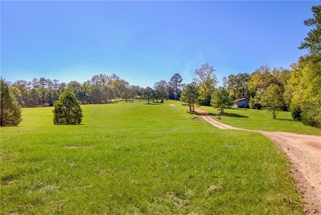 view of community with a yard