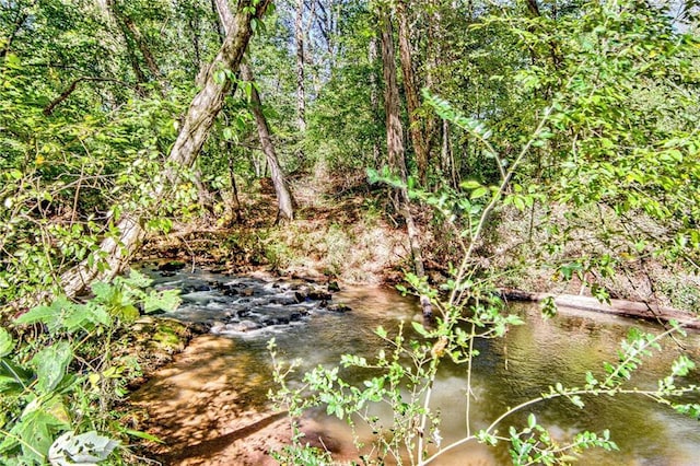 view of local wilderness