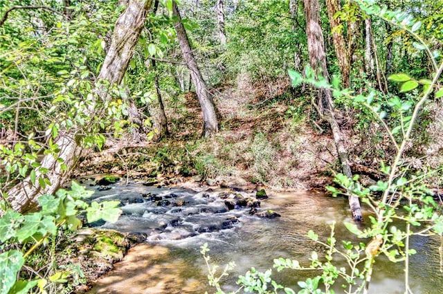 view of nature featuring a water view