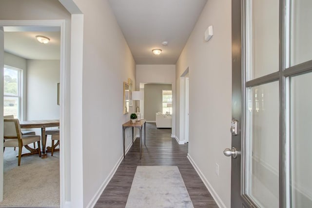 hall featuring plenty of natural light and dark hardwood / wood-style floors