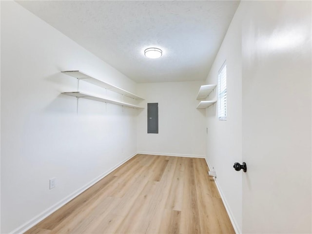 spacious closet with electric panel and light hardwood / wood-style floors