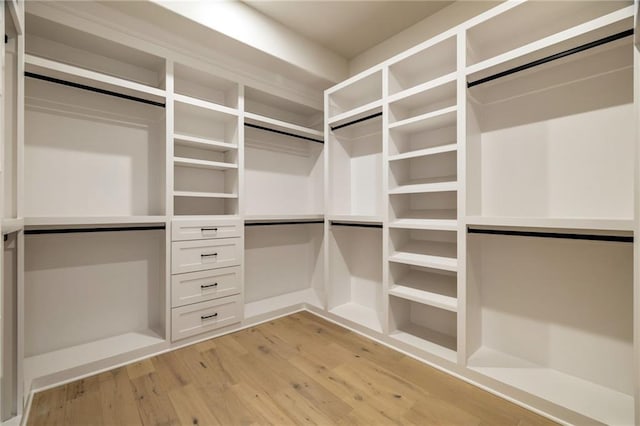 spacious closet featuring light hardwood / wood-style floors