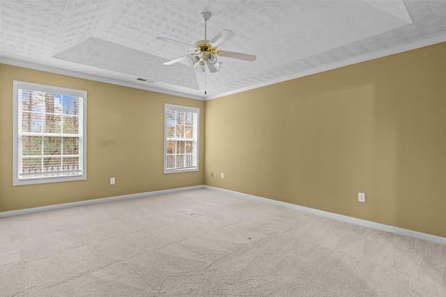 carpeted spare room with a raised ceiling, ceiling fan, and ornamental molding