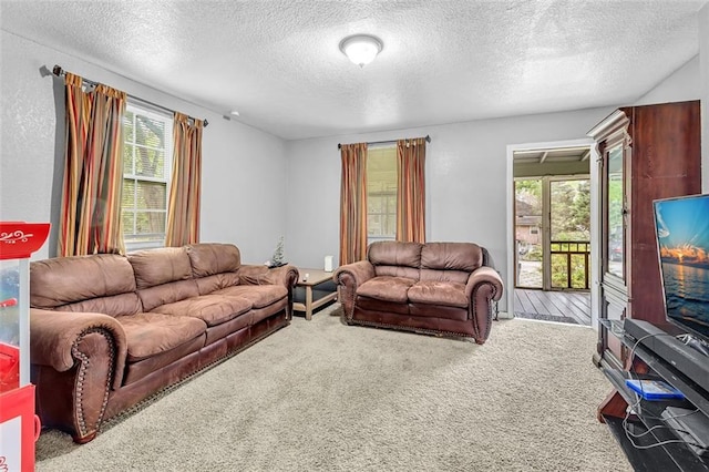 carpeted living room with a textured ceiling