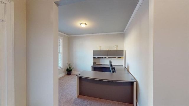 carpeted home office featuring crown molding