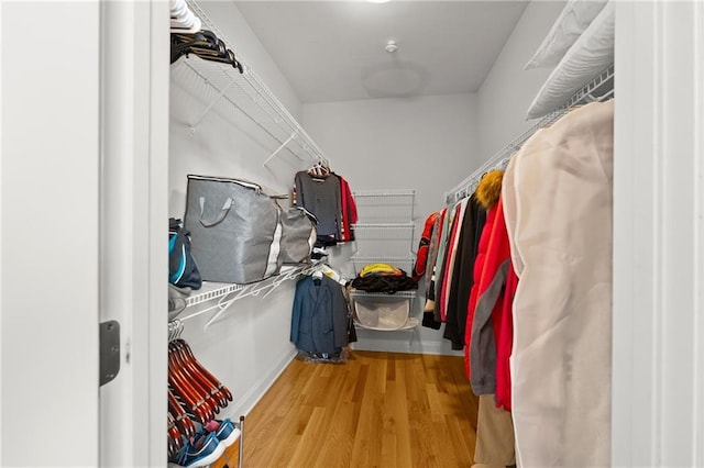 541 Brown Dr, Clermont, GA 30527 - walk in closet featuring wood finished floors