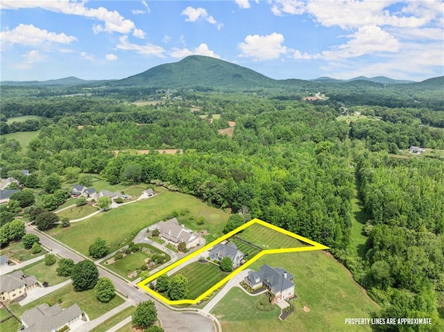 541 Brown Dr, Clermont, GA 30527 - aerial overview of property's location featuring mountains, a heavily wooded area, and property parcel outlined