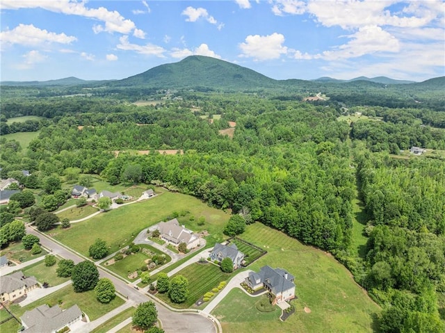 541 Brown Dr, Clermont, GA 30527 - aerial view of property and surrounding area with a mountain backdrop and a forest