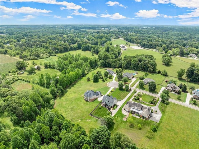 541 Brown Dr, Clermont, GA 30527 - drone / aerial view of a forest