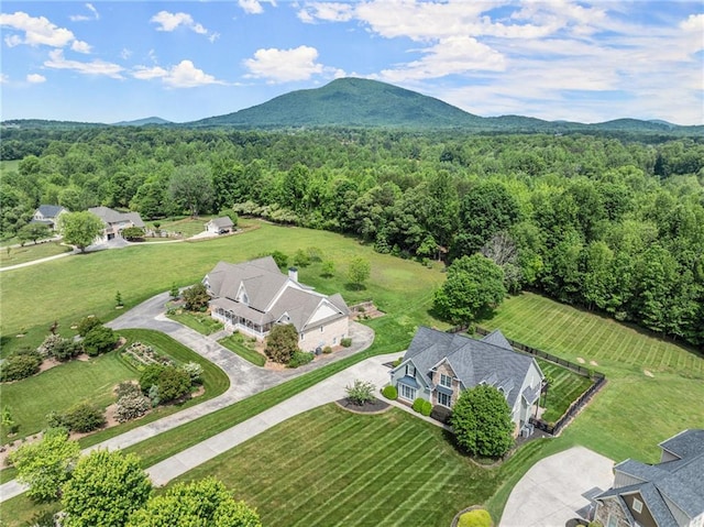 541 Brown Dr, Clermont, GA 30527 - aerial view of a heavily wooded area and mountains