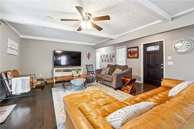 living room featuring beam ceiling, a textured ceiling, a ceiling fan, and hardwood / wood-style flooring