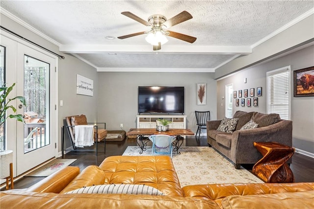 living area with beam ceiling, a textured ceiling, crown molding, and a ceiling fan