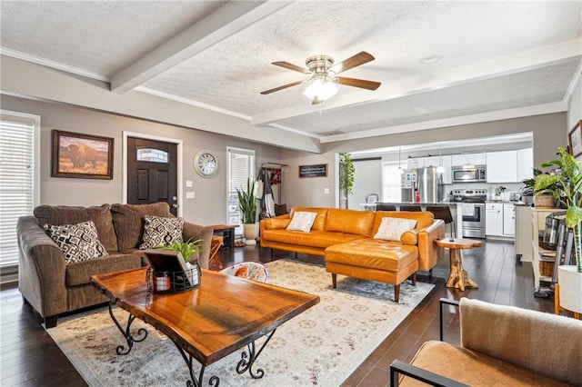 living room with beam ceiling, dark wood-style flooring, ceiling fan, a textured ceiling, and crown molding