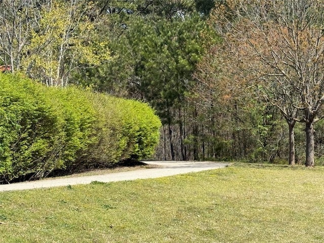 view of property's community with a yard and a wooded view
