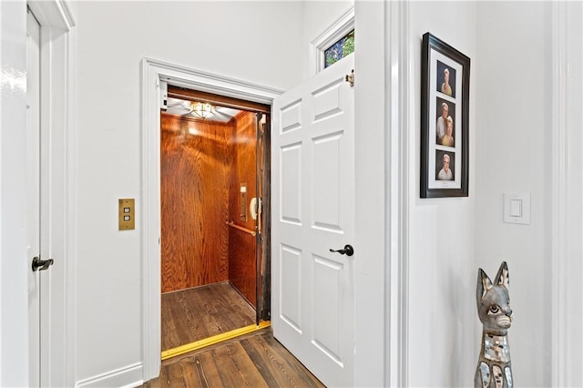 corridor with dark hardwood / wood-style flooring and elevator