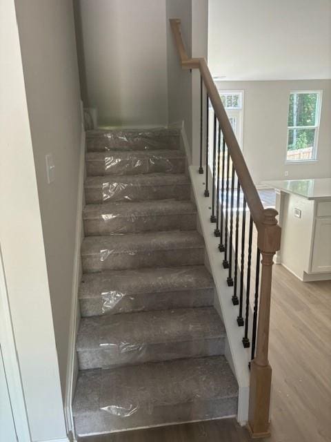 staircase with wood-type flooring