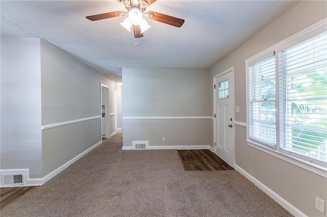 entrance foyer with carpet, visible vents, and a wealth of natural light