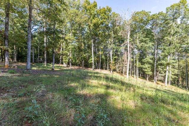 Listing photo 3 for 0 Old Rock Creek Rd, Blue Ridge GA 30513