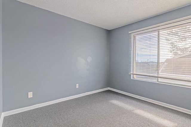 spare room featuring carpet flooring and a textured ceiling