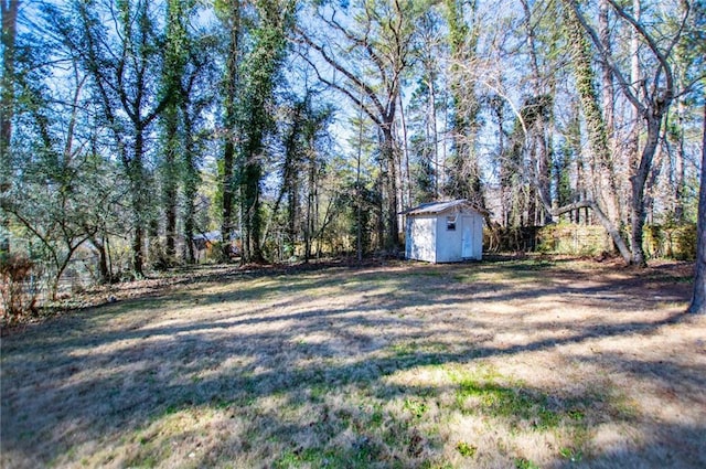 view of yard with a storage unit