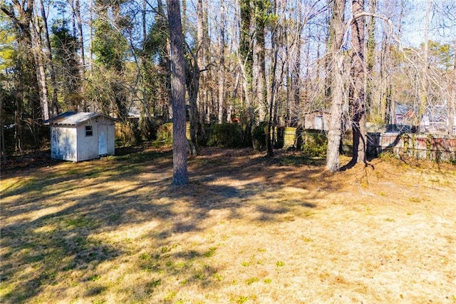 view of yard with a storage unit