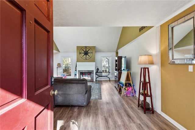 living room featuring vaulted ceiling and hardwood / wood-style floors