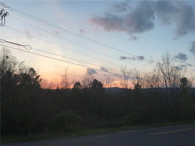 Lot28 Needham Drive, Dalton, GA 30721 - photo 4