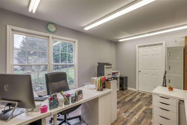 office space featuring plenty of natural light and dark hardwood / wood-style floors