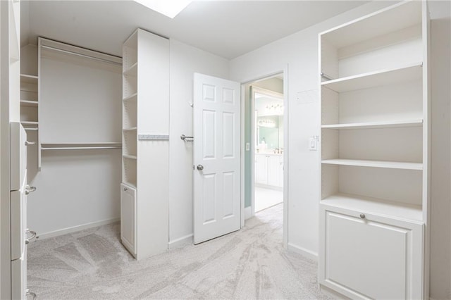 walk in closet with light colored carpet