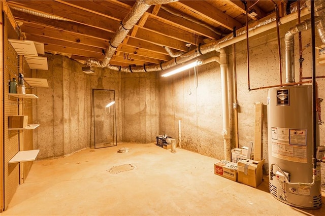 basement featuring gas water heater