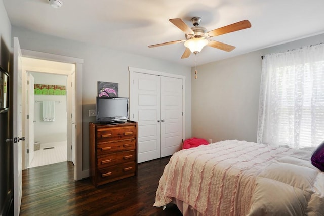 bedroom with multiple windows, ceiling fan, a closet, and dark wood-type flooring