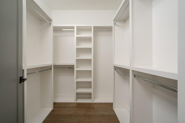 spacious closet with dark hardwood / wood-style flooring