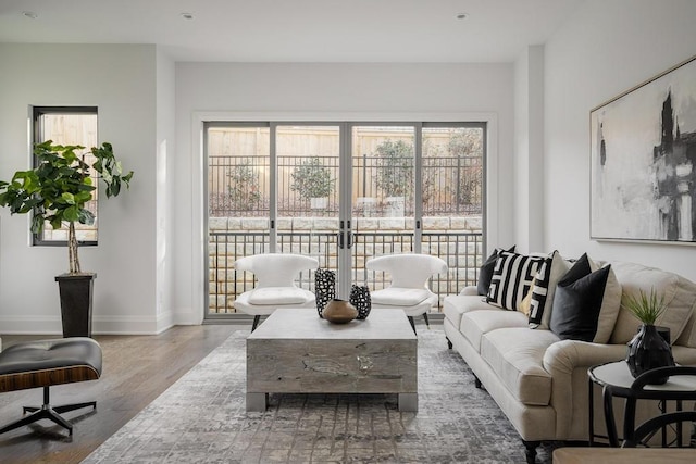 living room featuring hardwood / wood-style floors