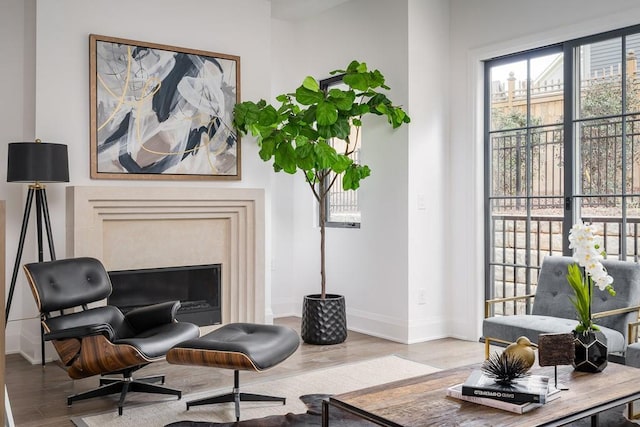 sitting room featuring light hardwood / wood-style flooring