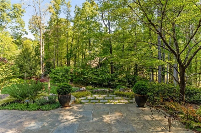 view of property's community featuring a patio