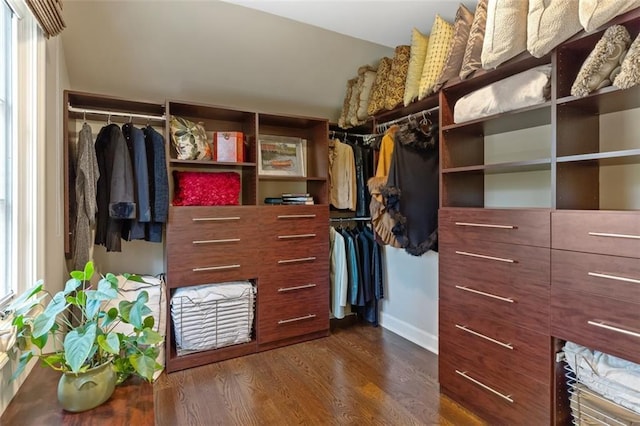 spacious closet with dark hardwood / wood-style flooring