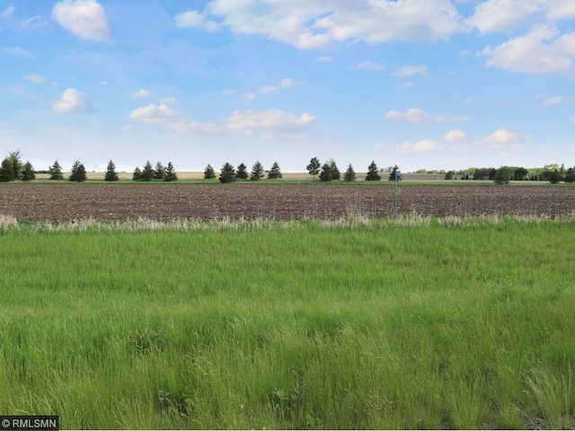 35746 Sharon Prairie Dr, Le Sueur MN, 56058 land for sale