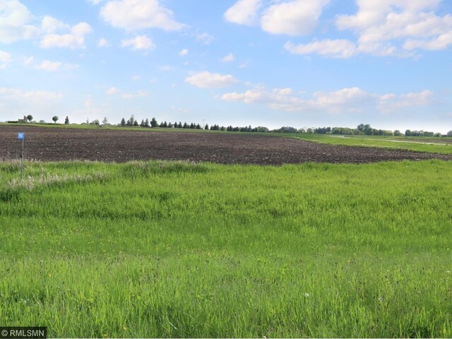 29967 Prairie Sage Ln, Le Sueur, MN 56058 - photo 1