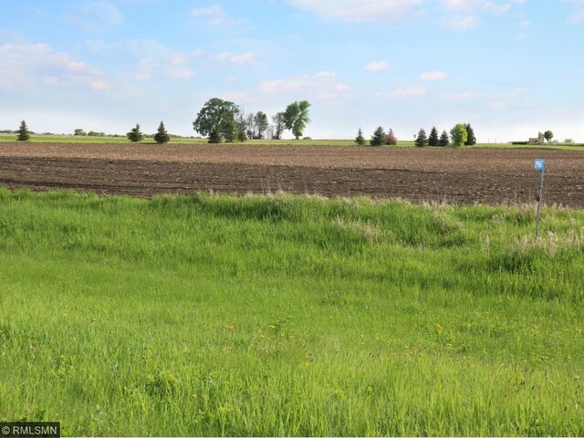 29967 Prairie Sage Ln, Le Sueur, MN 56058 - photo 2