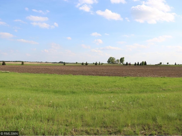 29967 Prairie Sage Ln, Le Sueur, MN 56058 - photo 3