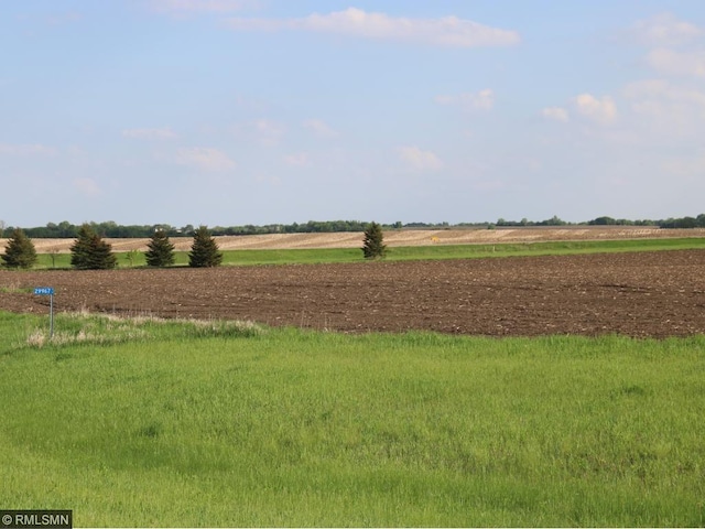 29967 Prairie Sage Ln, Le Sueur, MN 56058 - photo 4