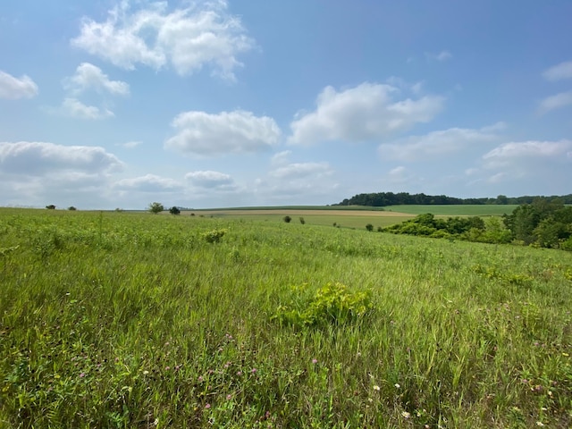 TBD 712th St, Lake City, MN 55041 - photo 1
