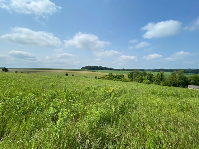 TBD 712th St, Lake City, MN 55041 - photo 2